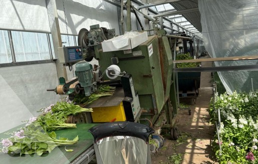 Foto van Chrysantenoogstmachine-Van den Berg