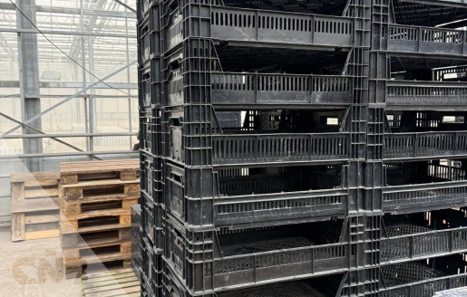 Foto van Kunststof kratten-Broeibakken