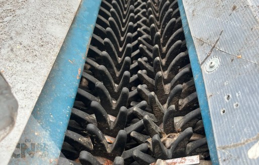 Foto van Narcissenbreker