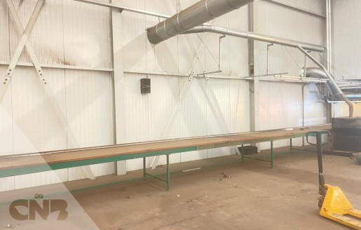 Foto van Transportband-AWB 100x1700