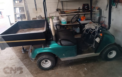 Foto van Golfwagen-Bringo