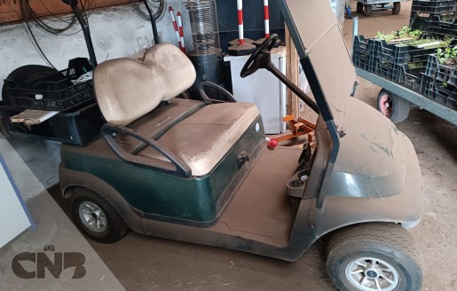Foto van Golfwagen-Clubcar