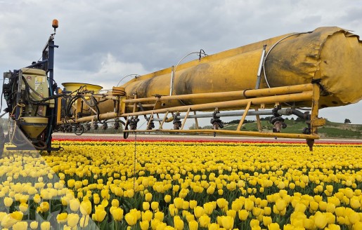 Foto van Veldspuit-Sieger