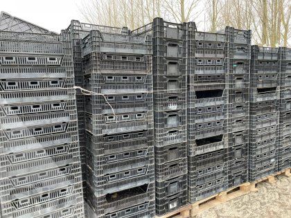 Broeibakken-exportkratten