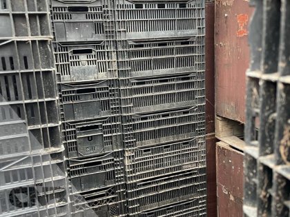 Leliekratten gebruikt