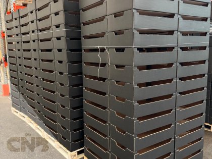 Zwarte opzettrays m/h 60x40x16