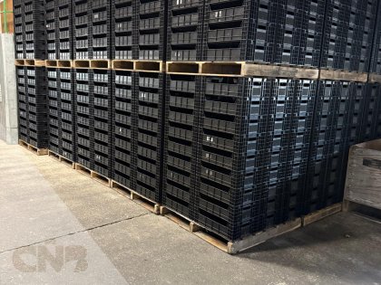 Pareltrays-KPI