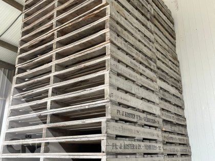 Pallets 100x150