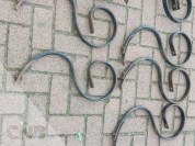 Foto van Padenschoffel