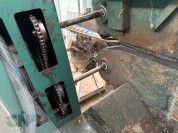 Foto van Onboller met verenkelaar-Potveer