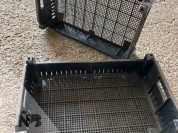 Foto van Broei bakken