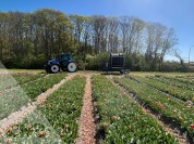 Foto van Haspel-Ferbo 90-400