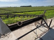 Foto van Sproeiboom