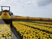 Foto van Veldspuit-Sieger