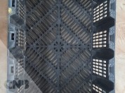 Foto van Nestbare leliekratten