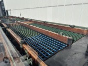 Foto van Compas LD8EB7 sorteermachine voor bloembollen en s