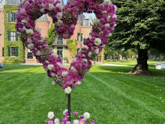 Highlighted image: Een kleurrijke explosie tijdens het Holland Dahlia Event!