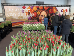 Highlighted image: ''Wat we zagen tijdens het CNB event in Lisse...''