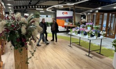 News image: CNB New Plants: Vooruitblik CNB Bloem- en relatiedagen 2025