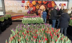 News image: ''Wat we zagen tijdens het CNB event in Lisse...''